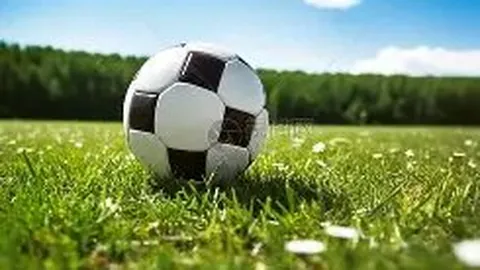 大乐透期号专家推荐：沙尔克04质合分析领跑联赛