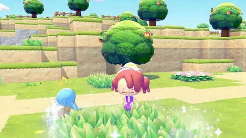 33所学校获评全省首批新型足球学校称号